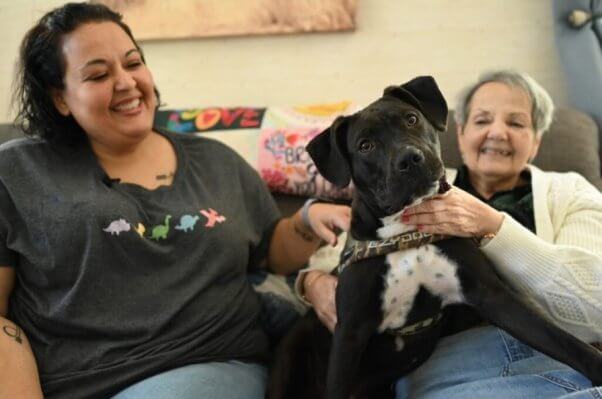Dave the rescued dog, now named Roux, with his new family