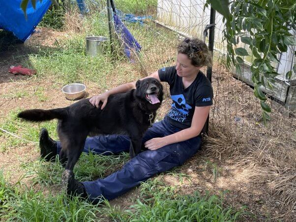 Rusty getting some love from a PETA fieldworker