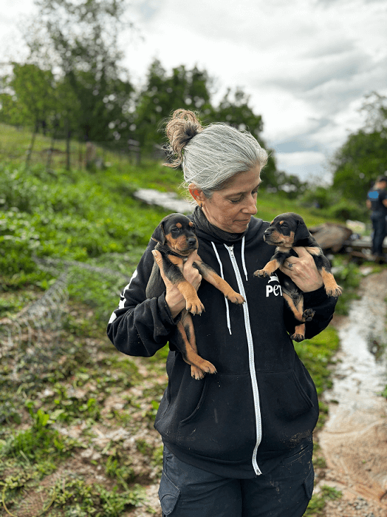 A PETA fieldworker holds two black and brown puppies
